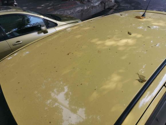 [广州·粤A] 二手丰田雅力士2011款 1.6GS 自动锐动版