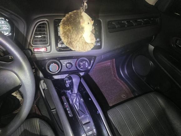 [嘉兴·浙F] 二手本田缤智2016款 1.8L CVT两驱先锋型