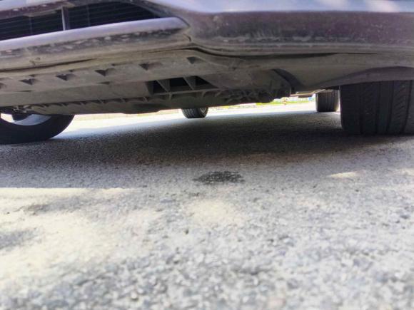 [温州·浙C] 二手奥迪奥迪A12014款 30 TFSI 时尚型