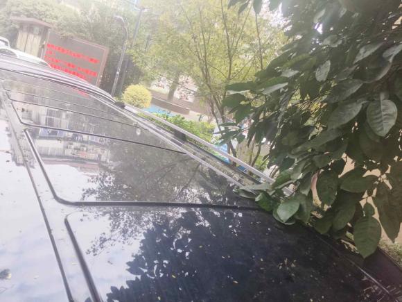 [杭州·浙D] 二手奔驰威霆2020款 2.0T 精英版 7座