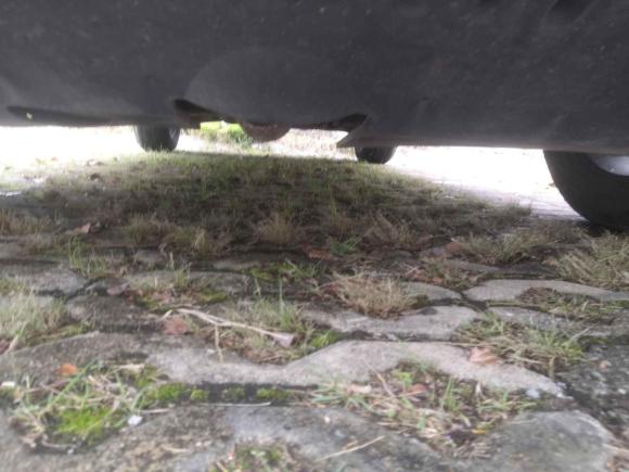 [温州·浙C] 二手众泰众泰T6002016款 运动版 1.5T 手动豪华型