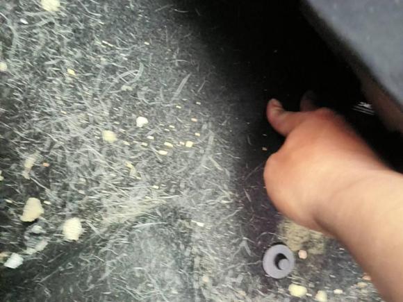 [苏州·苏E] 二手斯柯达明锐2017款 1.6L 自动智行版