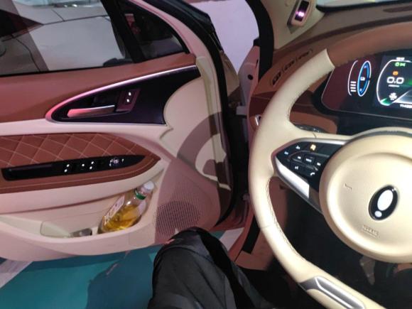 [北京·冀H] 二手欧拉欧拉好猫2022款 400km标准续航 尊贵型 三元锂