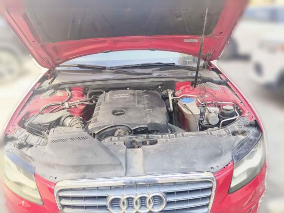 [上海·闽H] 二手奥迪奥迪A4L2009款 2.0 TFSI 标准型