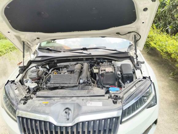 [上海·豫A] 二手斯柯达速派2019款 TSI280 DSG标准版