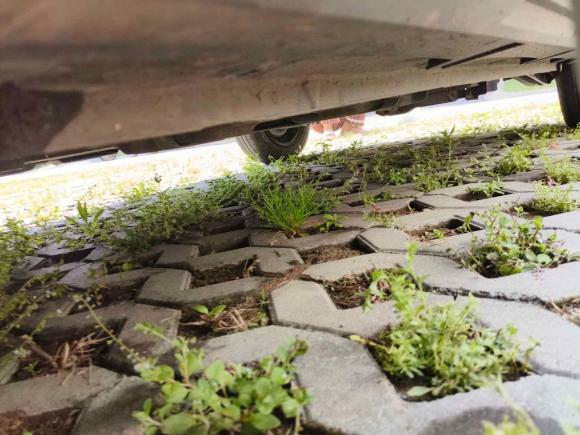 [嘉兴·浙F] 二手五菱汽车宏光MINIEV2022款 GAMEBOY 300km 玩咖款 磷酸铁锂