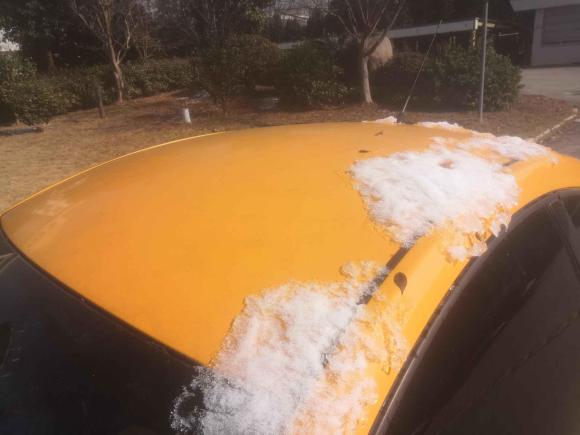 [湖州·浙E] 二手大众甲壳虫2010款 1.6 AT