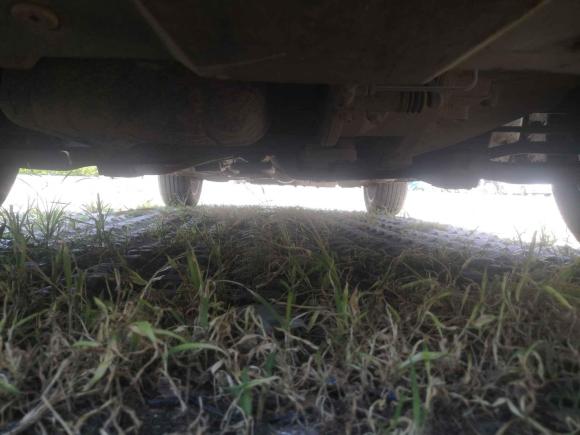 [青岛·鲁B] 二手中华中华V32017款 1.5L 手动精英型