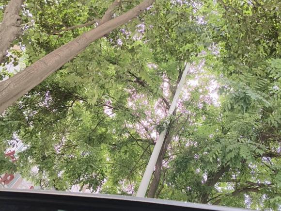 [西安·陕A] 二手奥迪奥迪Q52015款 40 TFSI 进取型