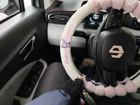 [合肥·皖A] 二手零跑汽车零跑T032022款 皓玉版