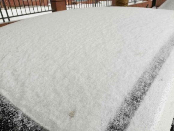 [合肥·皖A] 二手奇瑞艾瑞泽52016款 1.5L CVT领潮版