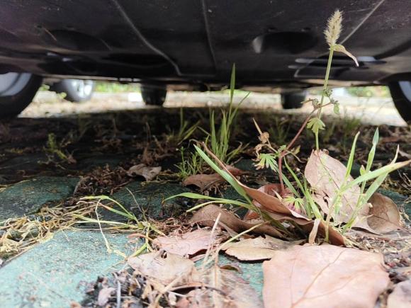 [苏州·苏D] 二手现代菲斯塔2019款 280TGDi 智享版 国VI