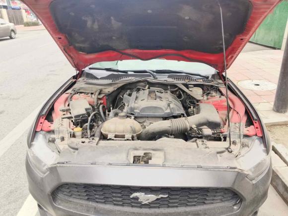 [成都·川A] 二手福特Mustang2015款 2.3T 性能版