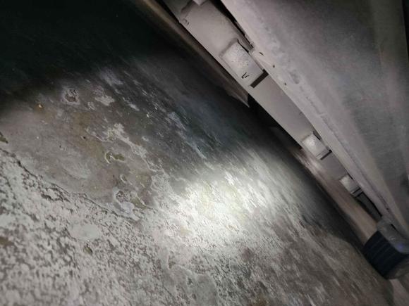 [广州·粤A] 二手比亚迪元新能源2019款 EV360 智联领享型