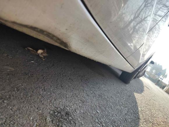 [青岛·鲁B] 二手宝骏宝骏3102016款 1.2L 手动豪华型