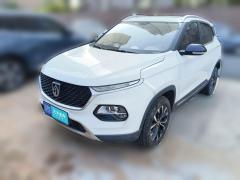 [南昌·赣M] 宝骏宝骏5102019款 1.5L 自动尊享型 国V