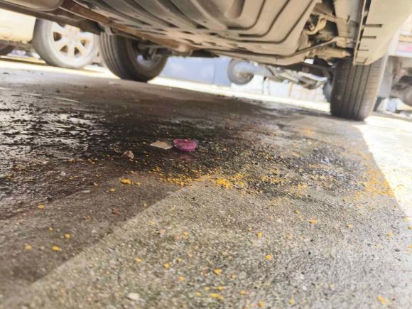 [温州·浙C] 二手吉利汽车博越2022款 博越X 1.8TD DCT智慧型