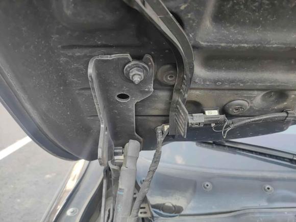 [温州·浙C] 二手宝马宝马4系2019款 425i 敞篷M运动套装