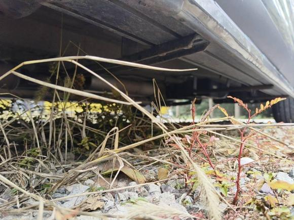 [宁波·浙B] 二手奇瑞瑞虎82019款 1.6TGDI 自动精英型