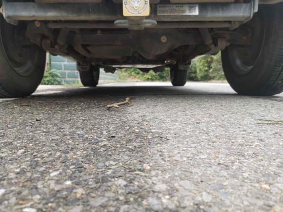 [武汉·鄂A] 二手铃木吉姆尼2015款 1.3 MT JLX