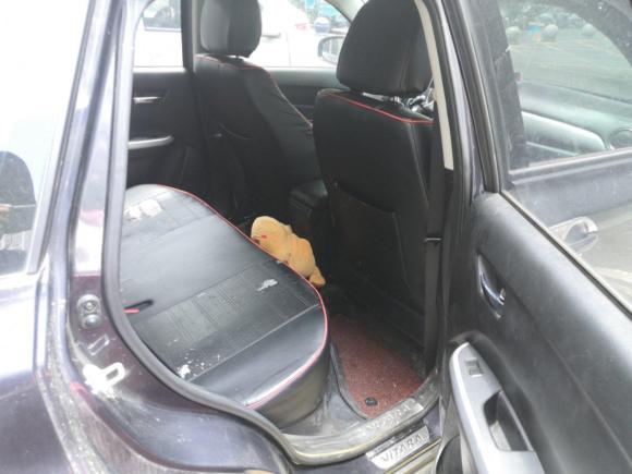 [合肥·皖A] 二手铃木维特拉2016款 1.6L 手动两驱进取型