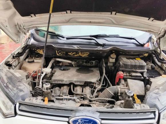 [金华·浙G] 二手福特翼搏2013款 1.5L 自动风尚型