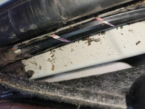 [合肥·苏C] 二手日产轩逸2021款 1.6L XL CVT悦享版