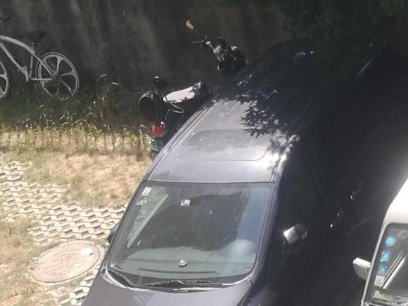 [温州·粤A] 二手马自达马自达82015款 2.5L 至尊版