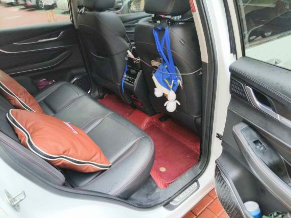 [武汉·鄂W] 二手星途星途追风2022款 乘风破浪版 1.5T CVT乘风起版