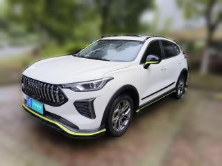 哈弗哈弗赤兔2022款 劲享版 1.5T 黄铜兔「无锡二手车」「天天拍车」