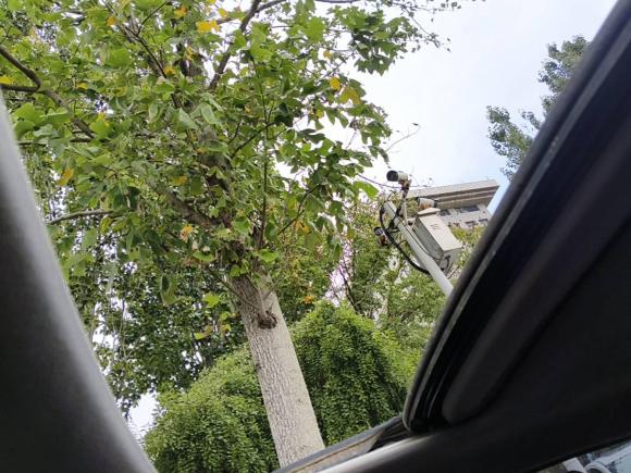 [青岛·鲁B] 二手本田凌派2013款 1.8L 自动豪华版