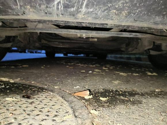 [北京·京Q] 二手宝马宝马5系2008款 523Li 领先型