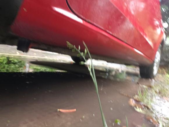 [杭州·浙A] 二手大众大众up!2015款 1.0L move up!