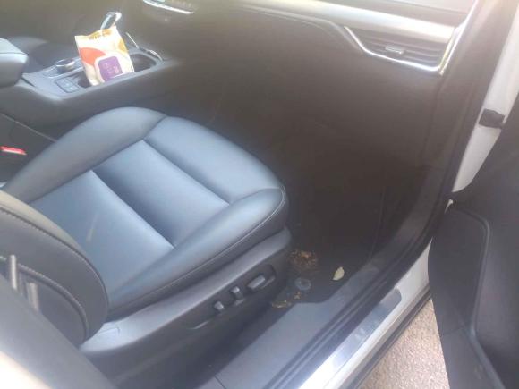 [青岛·鲁B] 二手凯迪拉克凯迪拉克XT42021款 28T 两驱豪华型