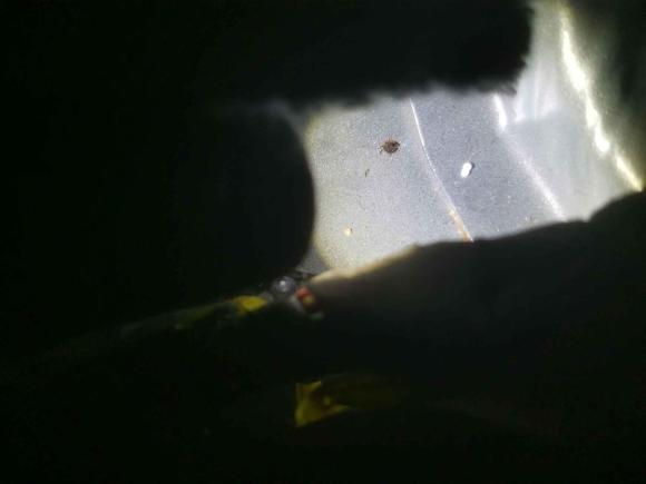 [广州·桂J] 二手五菱汽车五菱宏光PLUS2019款 1.5T 手动舒适型 7座