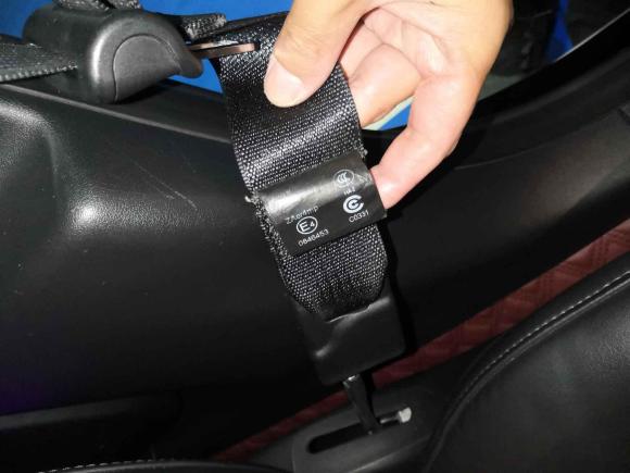 [合肥·皖A] 二手特斯拉Model 32021款 标准续航后驱升级版 3D6