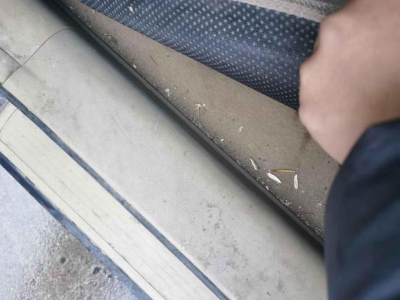 [青岛·鲁B] 二手本田本田CR-V2010款 2.4L 自动四驱豪华版