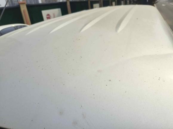 [济南·鲁A] 二手五菱汽车五菱之光小卡2019款 1.2L 双排