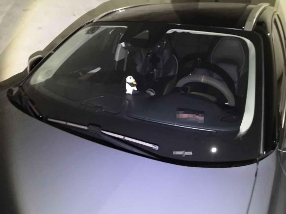 [上海·沪A] 二手领克领克02新能源2019款 1.5T PHEV Pro