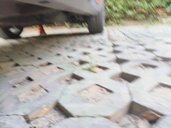 [南京·苏A] 二手名爵锐腾2015款 1.5TGI TST豪华版