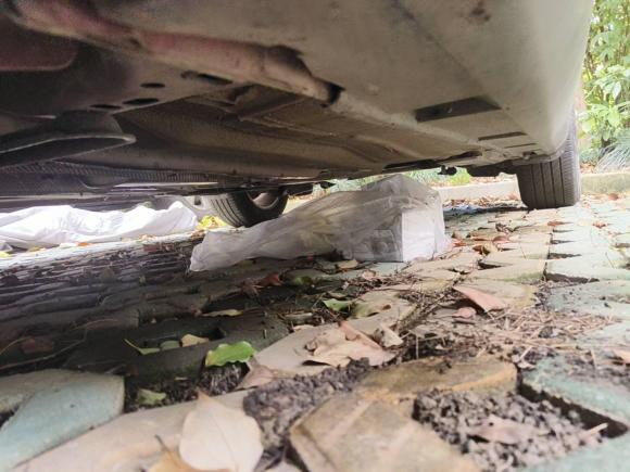 [上海·苏F] 二手福特福克斯2012款 两厢 1.6L 自动风尚型