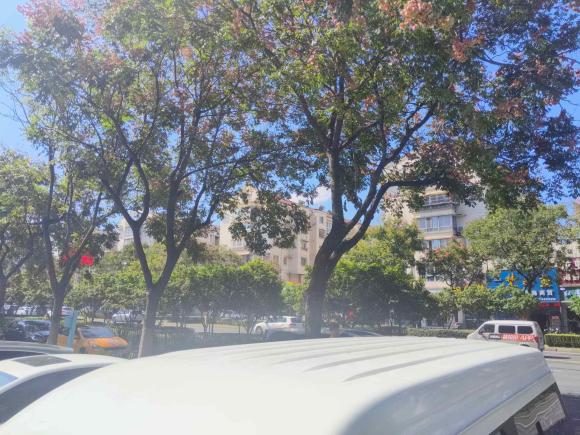 [南京·苏L] 二手金杯新海狮S2021款 1.6L 财富中央空调版客车国VI SWD16M