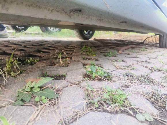 [南京·苏A] 二手欧拉欧拉黑猫2021款 351km 标准型