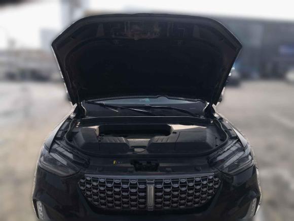 [合肥·皖A] 二手魏牌魏牌 VV62021款 2.0T 两驱智享+