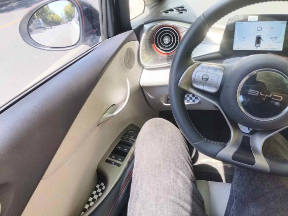 [无锡·苏B] 二手比亚迪海豚2021款 405km 时尚版