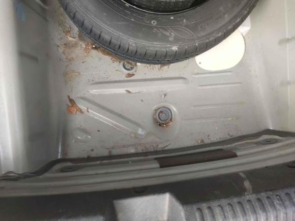 [杭州·浙A] 二手大众桑塔纳2013款 1.6L 手动风尚版