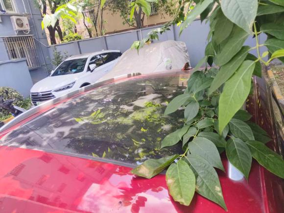 [上海·沪A] 二手宝沃宝沃BX52017款 20TGDI 自动两驱先锋型