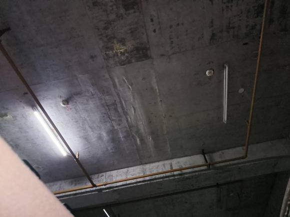 [西安·陕A] 二手本田锋范经典2008款 1.5L 自动精英版