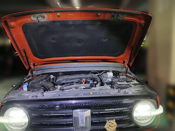 [杭州·浙A] 二手坦克坦克3002021款 越野版 2.0T 征服者