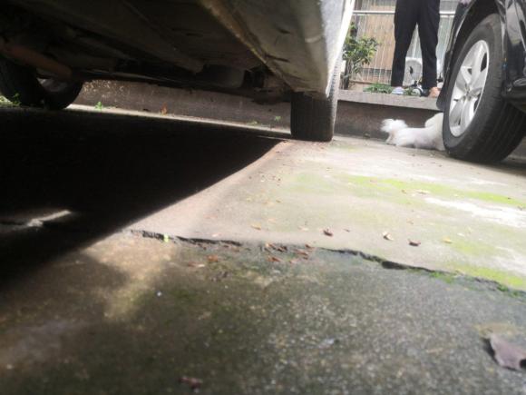 [武汉·鄂A] 二手起亚秀尔2010款 1.6L MT GLS